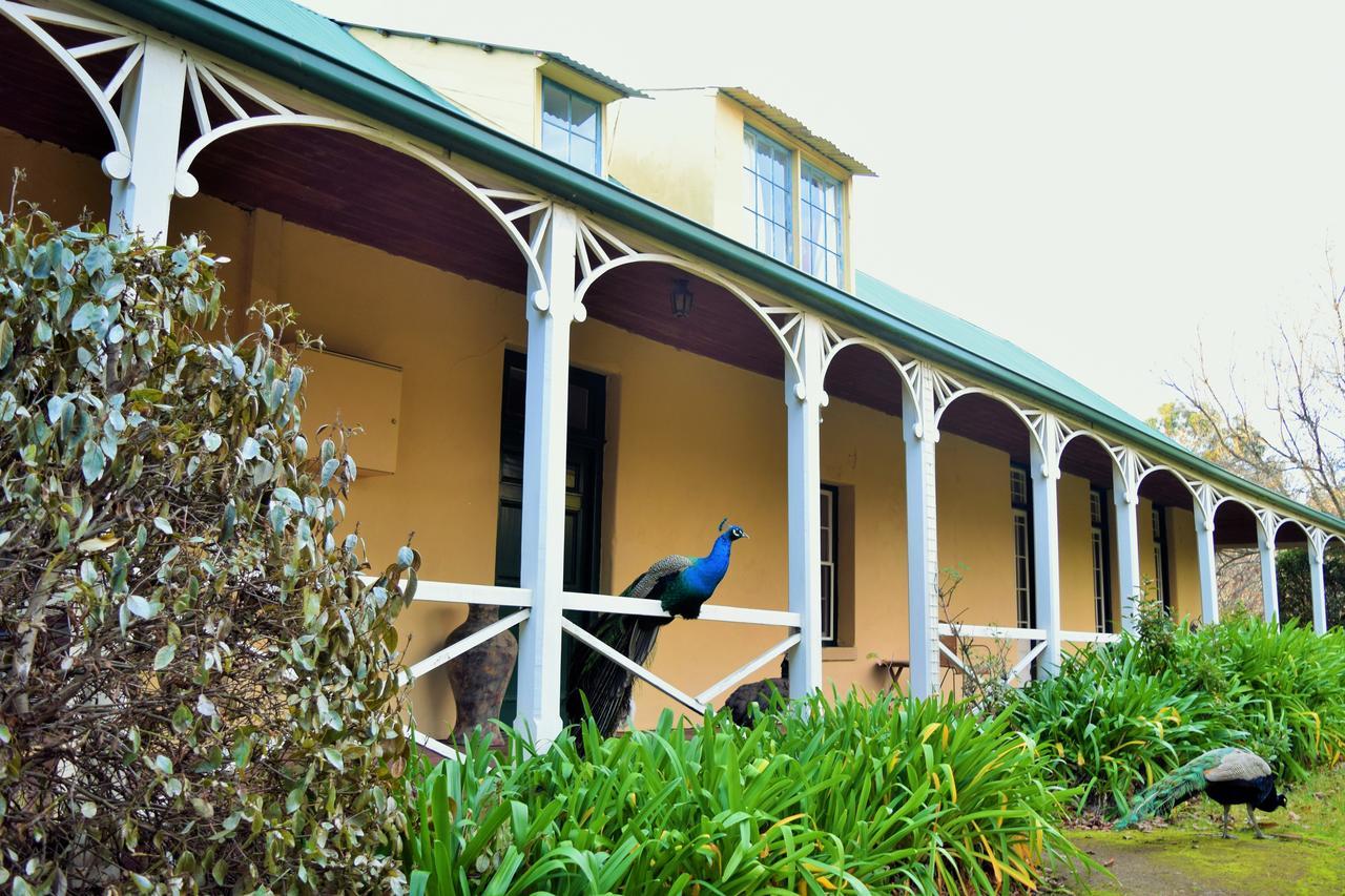 Risdon Cleburne Homestead מראה חיצוני תמונה
